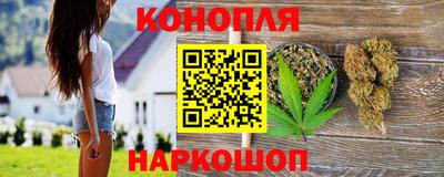 сатива Лесосибирск