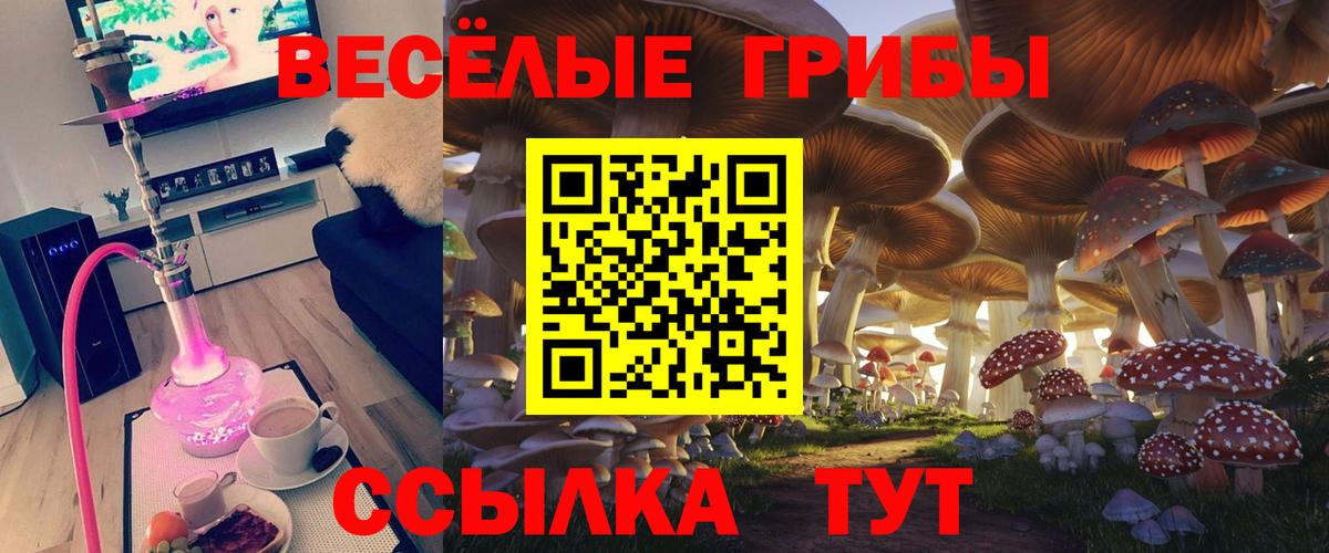 Галлюциногенные грибы Cubensis Когалым